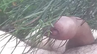 Whipping in the woods