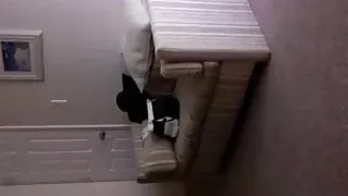 Broadcasting live on cam