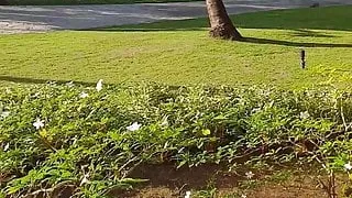 Naked gf sunbathing (Not shy)