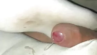 Footjob white pantyhose