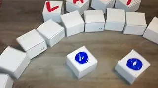 Lady L crush cartoon boxes