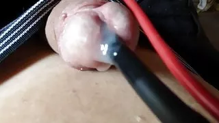 electrode in urethra  POV for cum no hands
