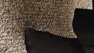 Co-workers nylon feet