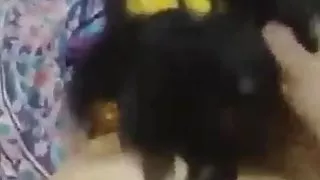 my friend wife shalini fucked by me when he is not at home