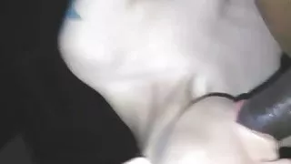 My boss secretary sucking me off