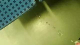 Im Zug das Sperma raus gewichst