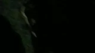 Bronx mature sucking me up