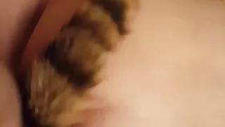 putting her tail in