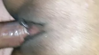 Fucking a creamy pussy