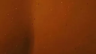 Paar, Homoseksueel, Vrouw