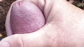 Ihm im Wald einen runterzuholen