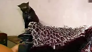 Getting Fucked On The Couch