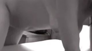 hot tight pussy Wife shared