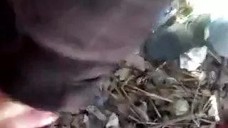 Blowing His Cock In The Park