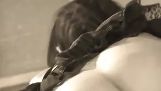 Mature Ass Fucked (Recolored)