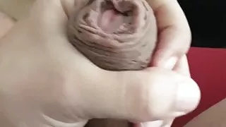 Schwuler Sex, Latino