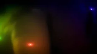 Cojidota de perrito laura