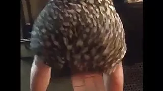 Big booty shaking
