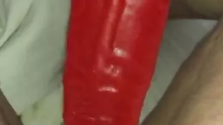 Pet playing for master