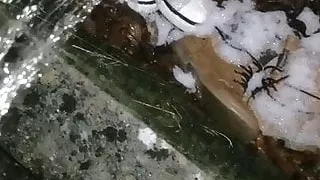 Pee on sister old shoes