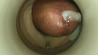 Up and Cumming attractions