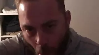 bearded bear sucking dick