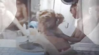 Esperma, Europeo, Gay, Hindú, Joven