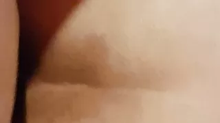 Gorda Elvira nalgona