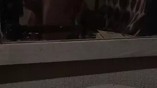 Ein heißer, fitter Typ vergnügt sich.