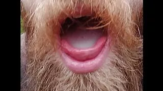 Fremde Sperma im Mund, wichsen und sperma im Wald, Sperma spucken