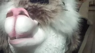 wool bondage+fur fetish