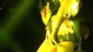 Denise Rosenthal Ass