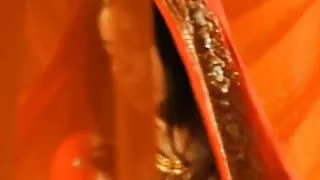 Depending On Your Indian Mistress