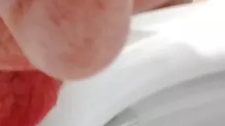 Toilet seat slow motion