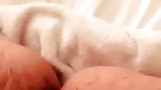 Mollige Muschi sprudelt langsam