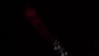 close up dick in mouth