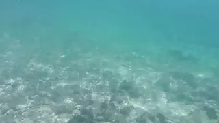 Sugarbabestv:  Summer Foot fetish beach orgasm