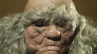 Une hotesse tres speciale (1979)