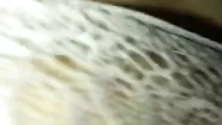 Taking That Slut From Behind