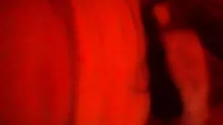 grosse truie levrette