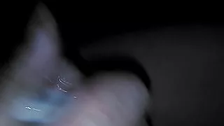 Jazzys creamy sweet meat