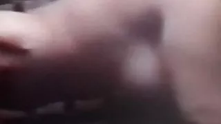 Como disfruta la zorrita de perrito