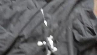 I love big ass  sitting on my face