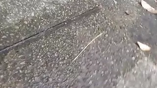 Japanese ladies filmed peeing in public