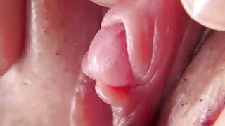 parade beautiful cunt