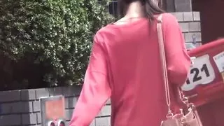 Japanese cuties flash hairy pussies during public peeing