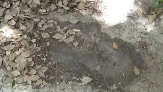 Japanese voyeur found ladies peeing in public