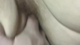 Amish neighbor again