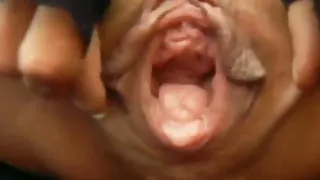 My favorite spread of a crawling pussy326