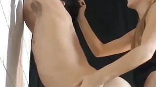 Les Pouliches Dressent Les Etalons